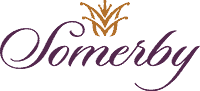 Somergy Logo