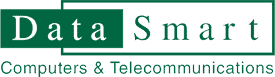 Data Smart Logo